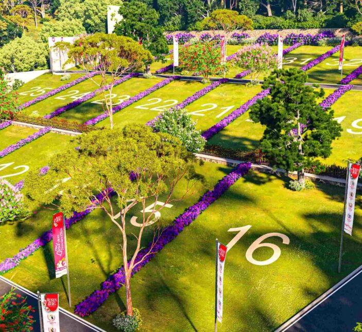 1690953130232-nuwara_eliya_photos_3_min